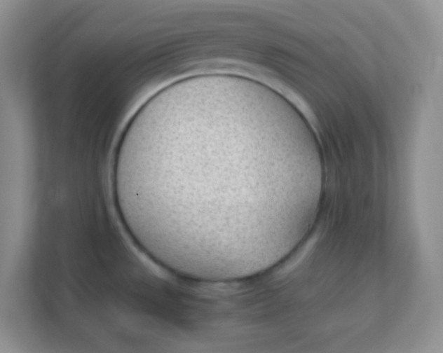 X0000111391533200907311103