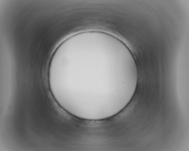 X0000111391534200907311103