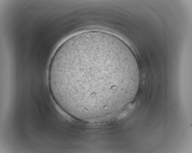 X0000111391535200907311103