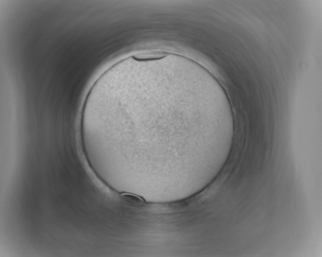 X0000111391536200907311103