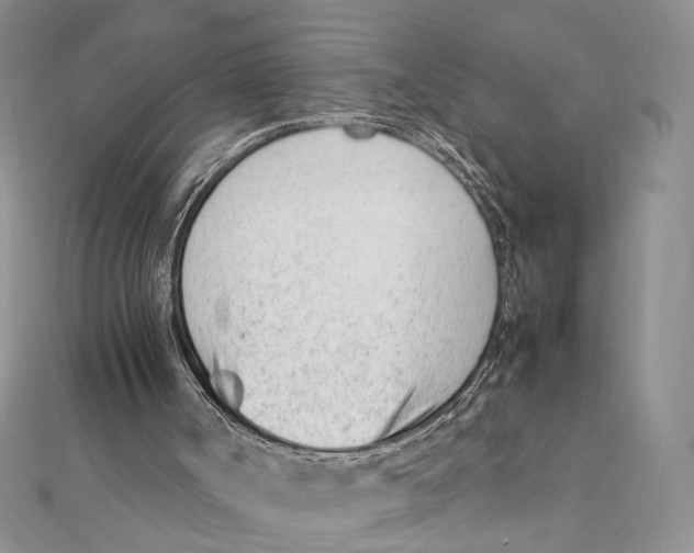 X0000111390002200908071306