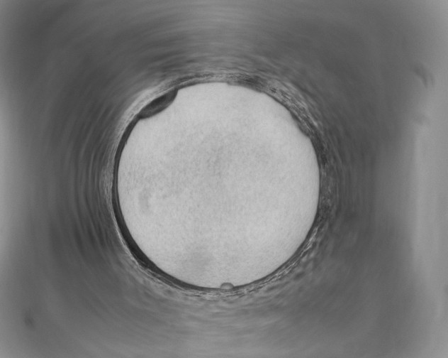 X0000111390003200908071306