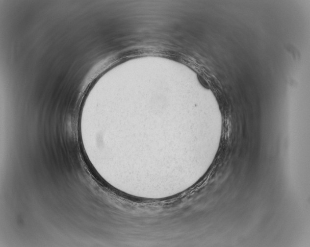 X0000111390004200908071306