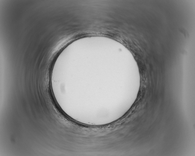 X0000111390005200908071306