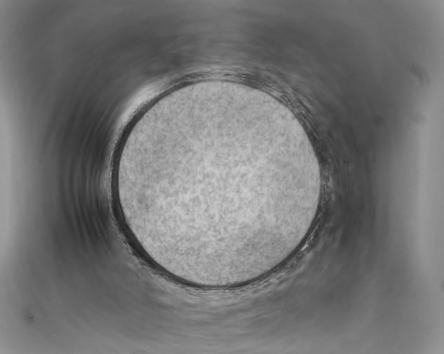 X0000111390006200908071306
