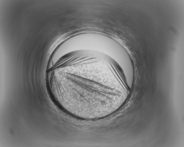 X0000111390007200908071306