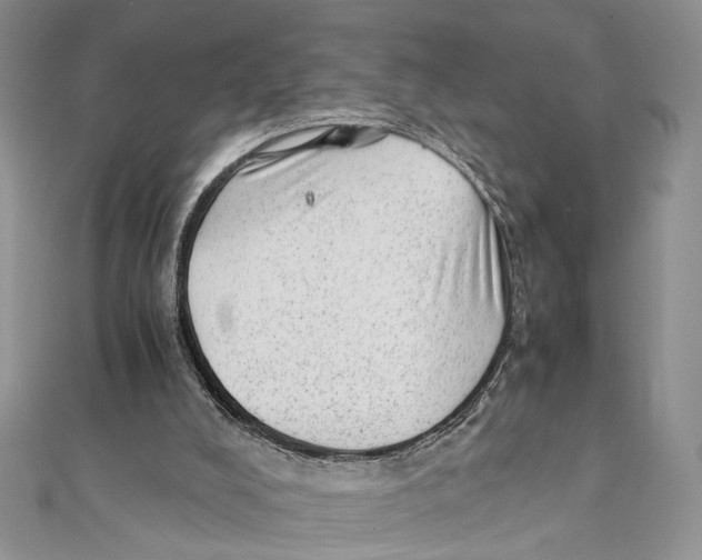 X0000111390008200908071306