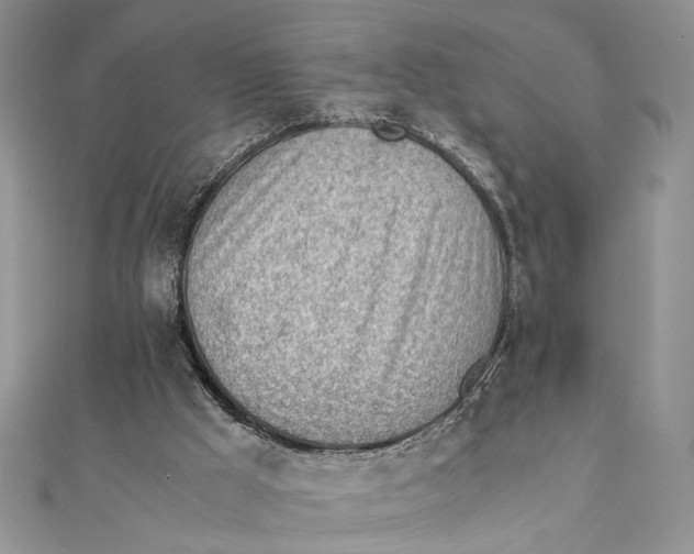 X0000111390009200908071306