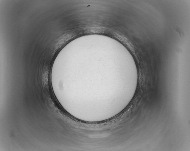 X0000111390010200908071306