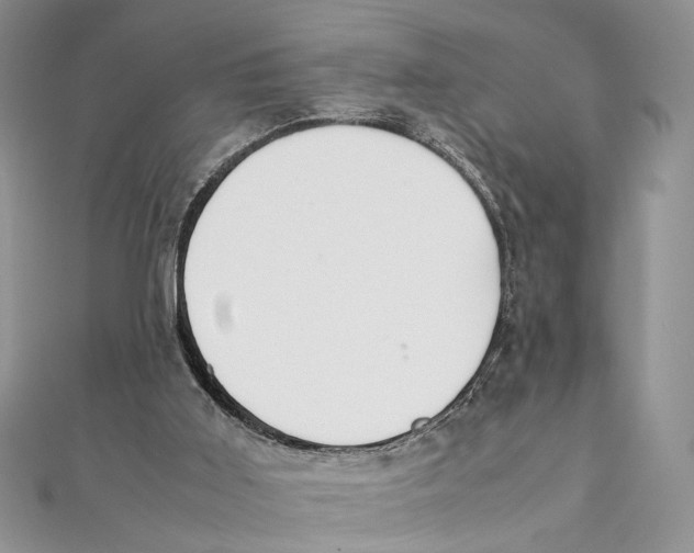 X0000111390011200908071305