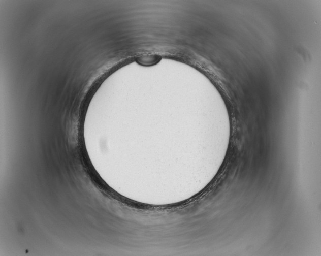 X0000111390012200908071305