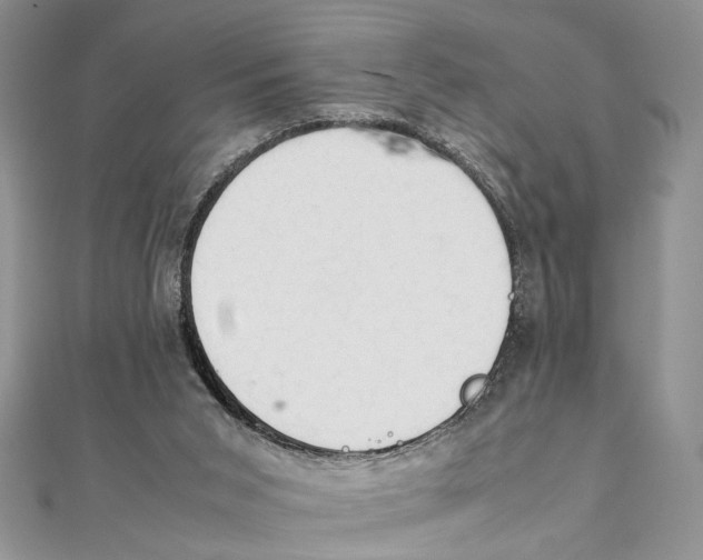 X0000111390015200908071305