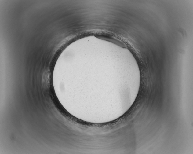X0000111390016200908071305