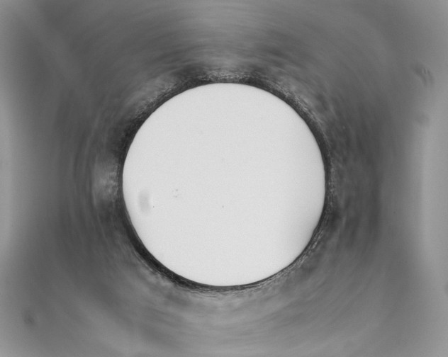 X0000111390017200908071305