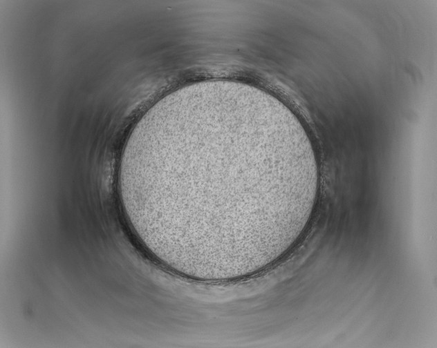 X0000111390018200908071305