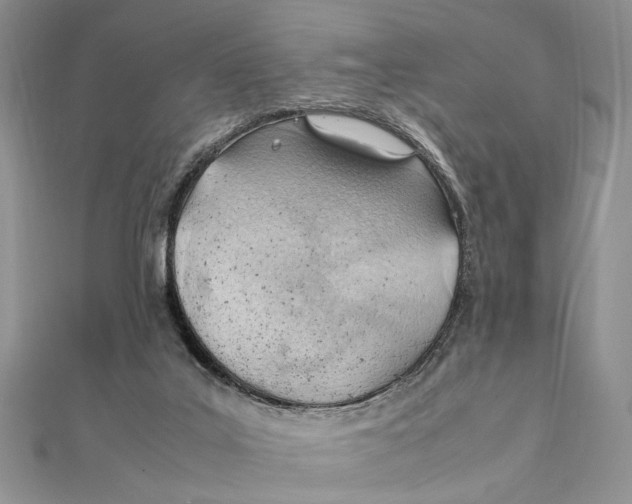 X0000111390019200908071305