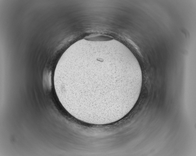 X0000111390020200908071305