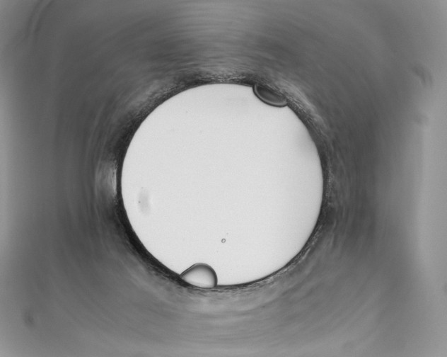 X0000111390021200908071305