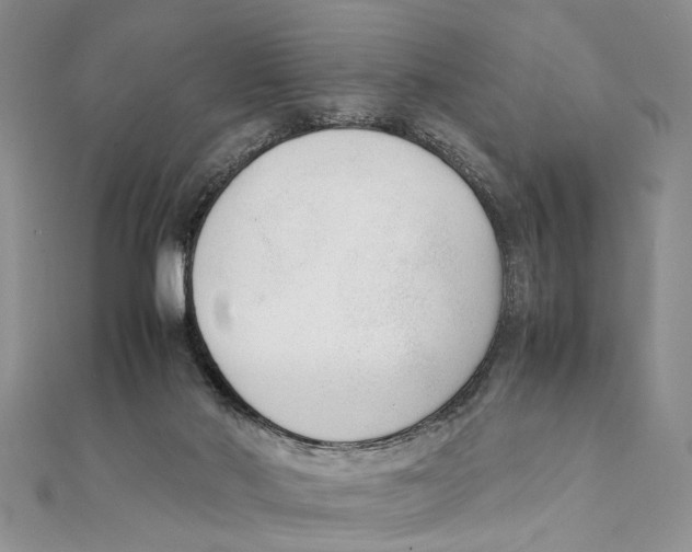 X0000111390022200908071305