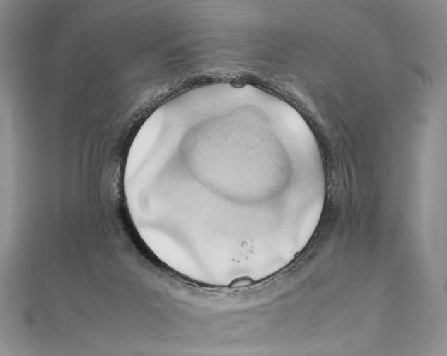 X0000111390023200908071305