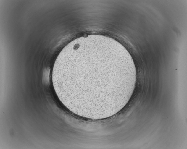 X0000111390024200908071305