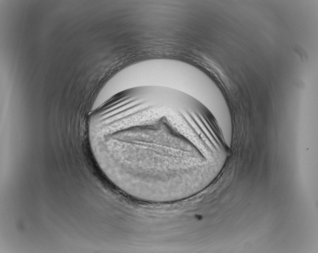 X0000111390025200908071305