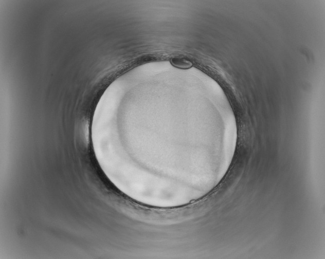 X0000111390027200908071305