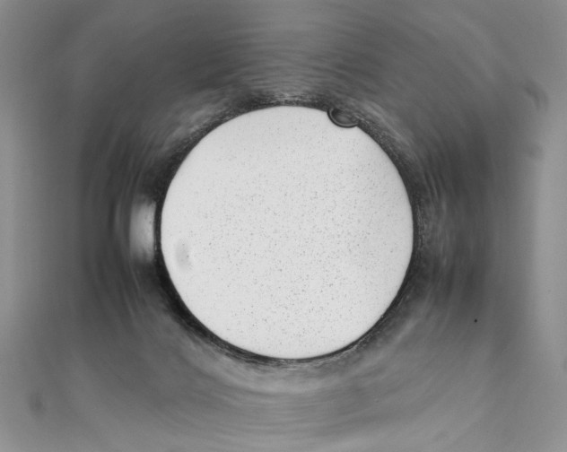 X0000111390028200908071305