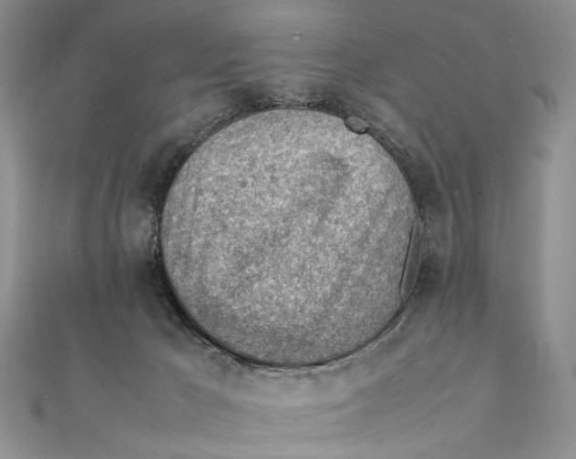 X0000111390029200908071305
