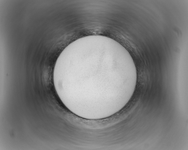 X0000111390030200908071305