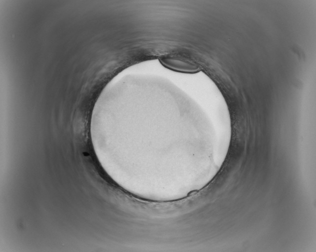 X0000111390031200908071305