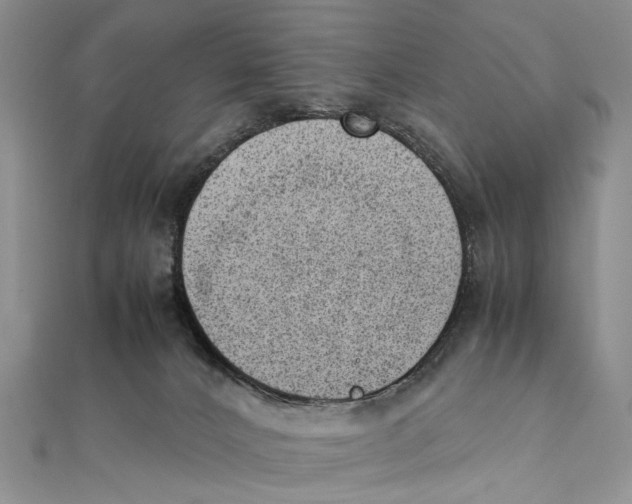 X0000111390032200908071305