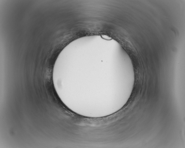 X0000111390033200908071305