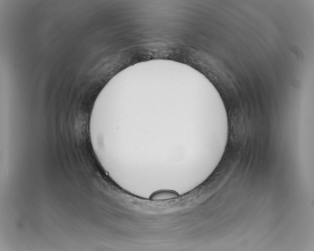 X0000111390034200908071305