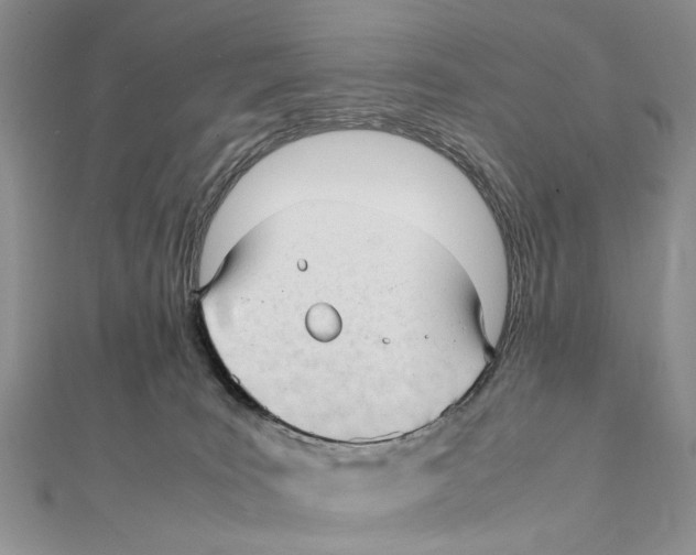 X0000111390035200908071305