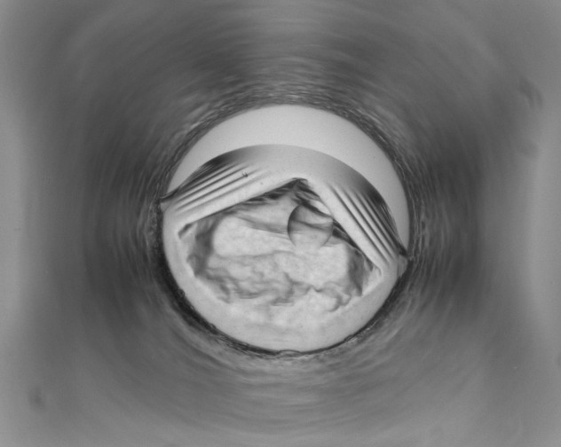 X0000111390036200908071305