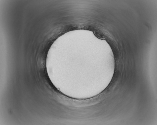 X0000111390039200908071305