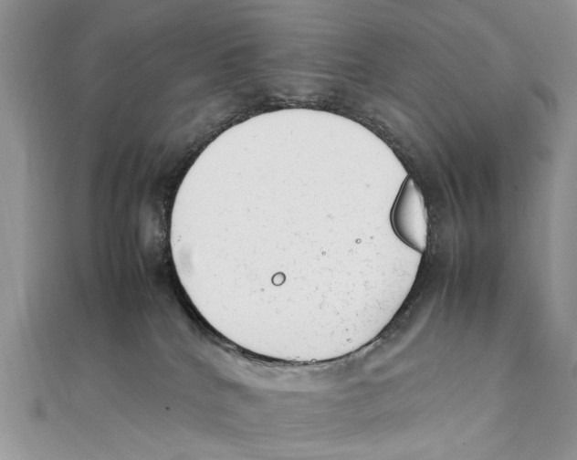 X0000111390040200908071305