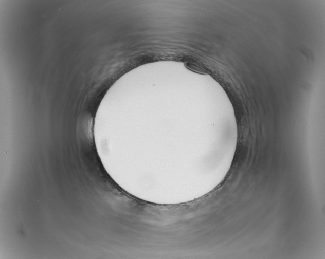 X0000111390041200908071305