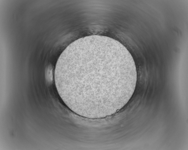 X0000111390042200908071305
