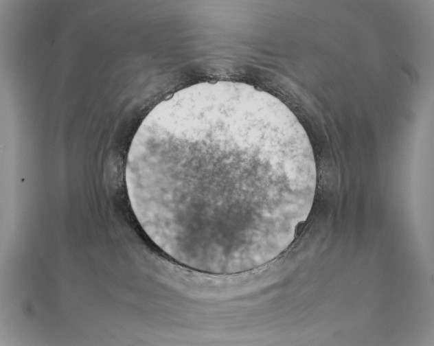 X0000111390043200908071305