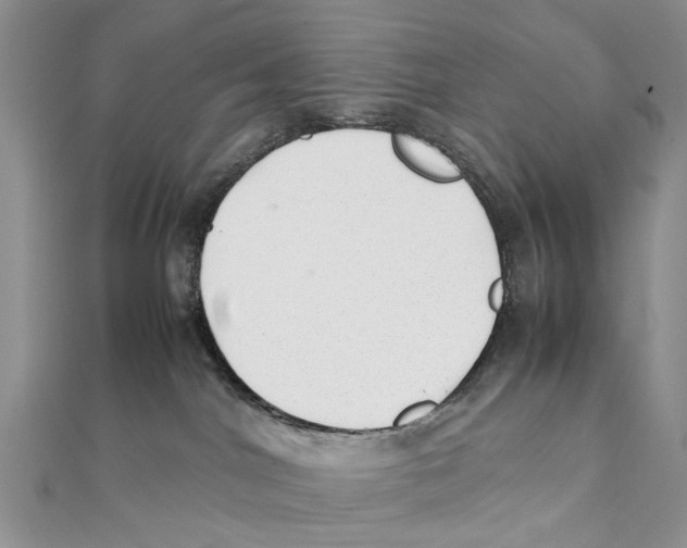 X0000111390044200908071305