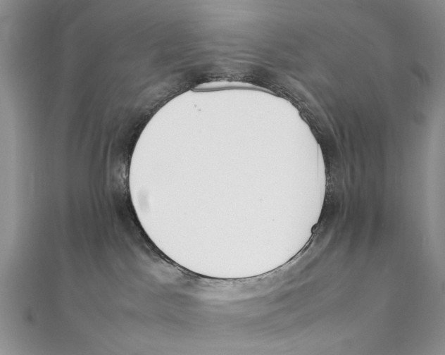 X0000111390045200908071305