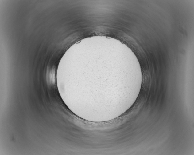 X0000111390046200908071305