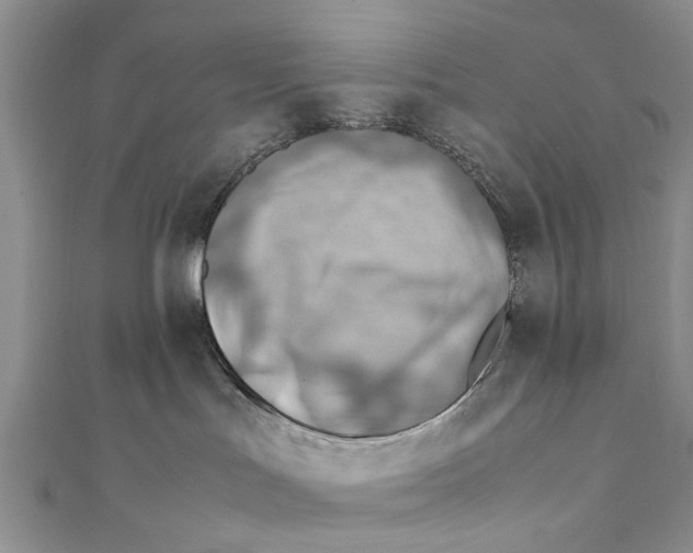 X0000111390047200908071305
