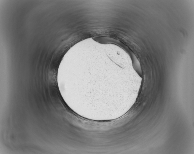 X0000111390048200908071305