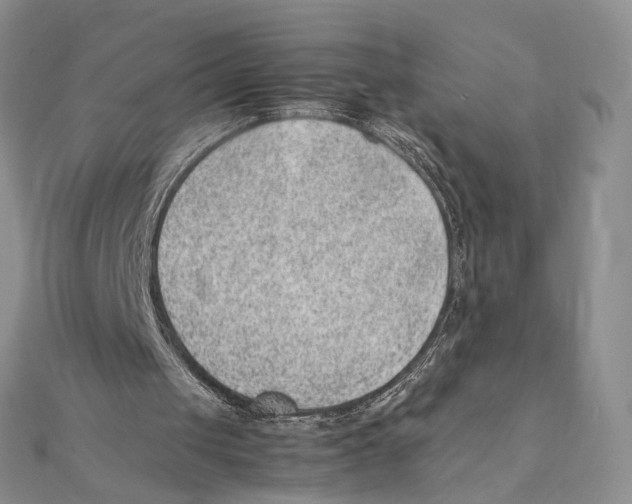X0000111390049200908071304