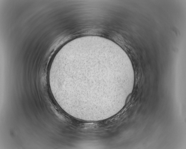 X0000111390050200908071304