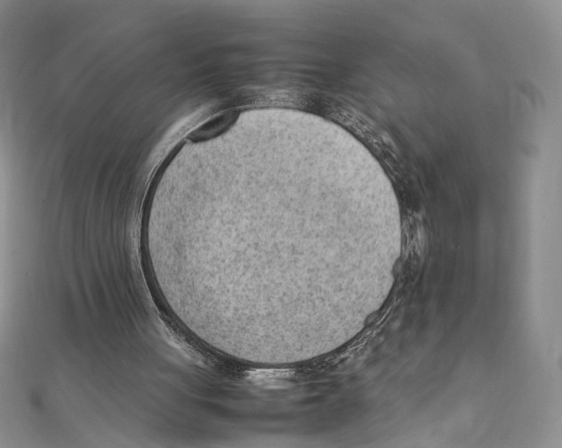 X0000111390051200908071304