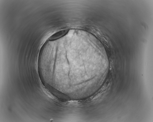 X0000111390052200908071304